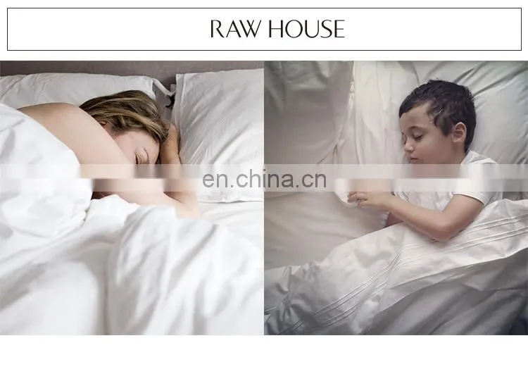 RAWHOUSE home hotel use Cassia buckwheat lavender pillow insert