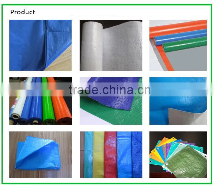 100mic China PE Tarpaulin roll Factory