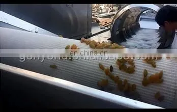 raisin cleaning machine for the raisin processing