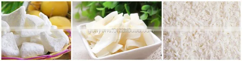 Desiccated coconut drying machine / coconut chips dryer