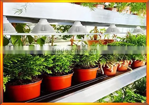 24W 36W E27 Led Plant Grow Light Hydroponic Full Spectrum Grow Lamp Bulb
