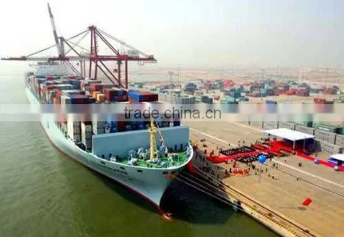 Sea Freight DDU Shipping Service from China to Semarang