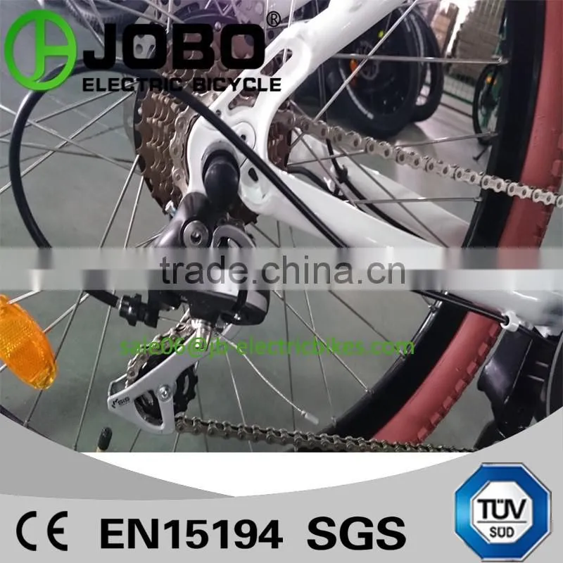 36 Volt 350 Watt Brushless Electric MTB Bike For Sale (JB-TDE23Z)