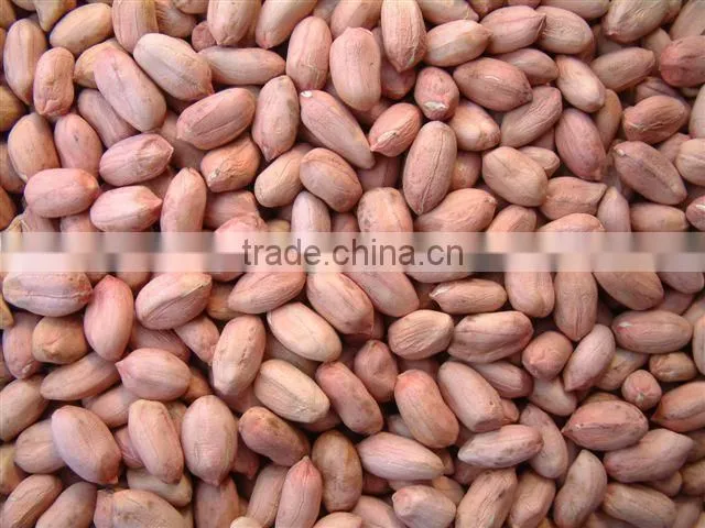 High quality blanched peanuts hot sale wholesale peanuts from china