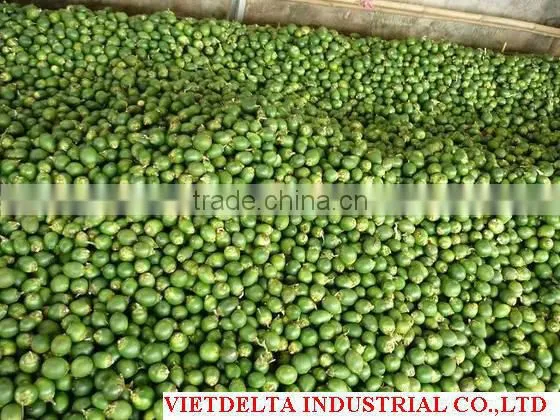 Fresh betel nut