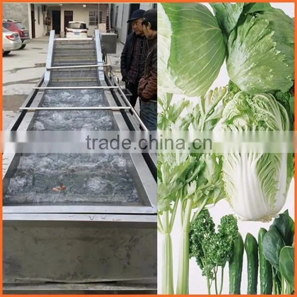 Zhengzhou Thrive brand vegetable carrot process machine/potato washing machine