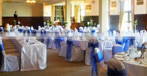 Sheer Organza Chair Sash
