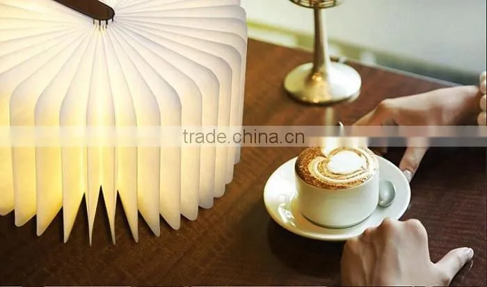 Luxury Led Book Lamp