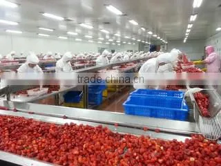 Qingdao DSF Foodstuff Co., Ltd. company overview - view 1