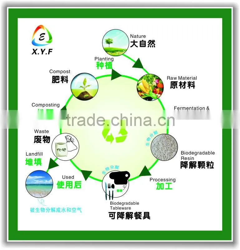 ecofriendly disposable compartment plastic plate