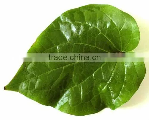 Betel Leaf Oil Natural