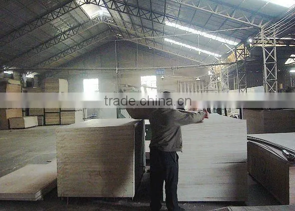 bintangor plywood