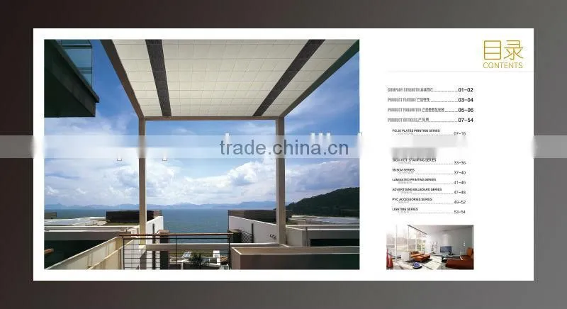 hot-sale china cheap ceiling panel from china