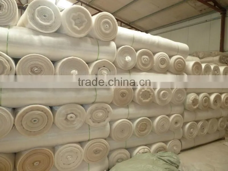 PE plant anti insect net