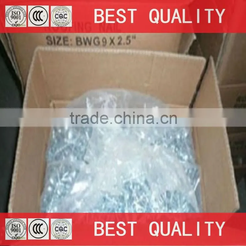 BWG8 iron roofing nail with umbrella head