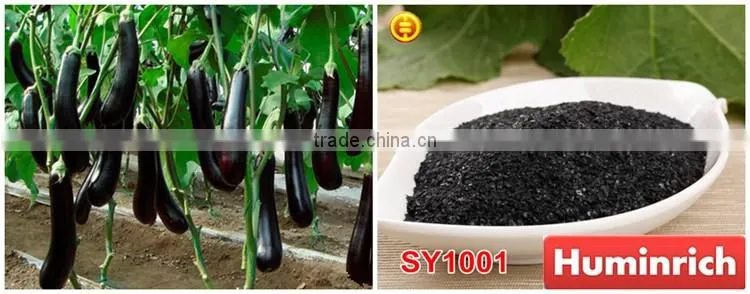 FAQ 19--Application Of Seaweed Extract Fertilizer On Vegetable