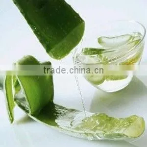 Aloe pulps