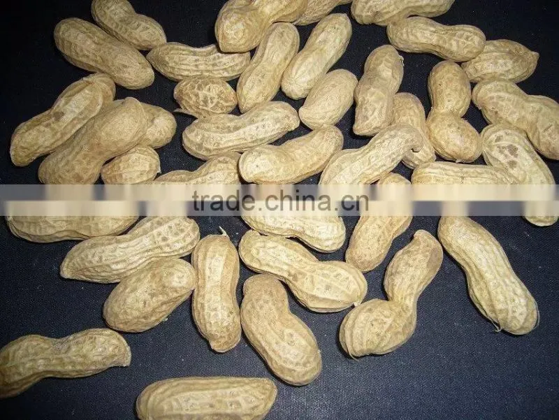 Chinese peanut kernels in shell with high quality for sale