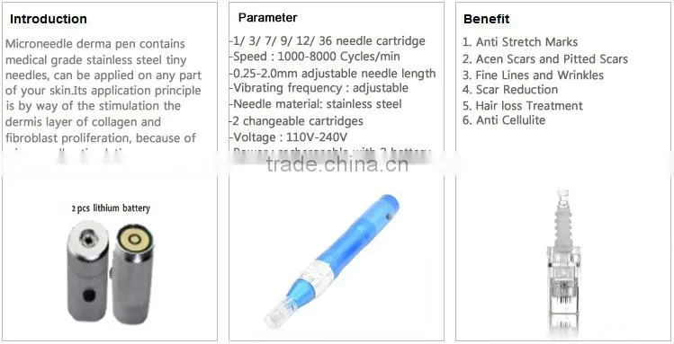2016 Flagship! ODM Service Electric Dermapen Anti Puffiness Electric meso Derma Pen