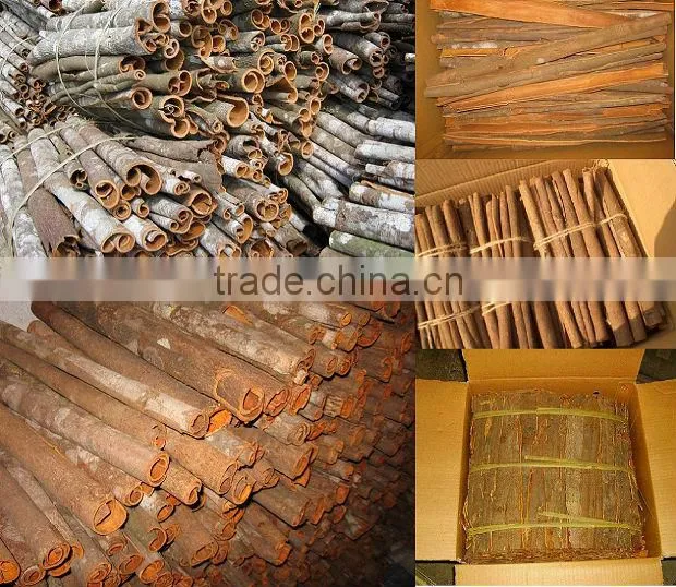 High quality Cassia stick