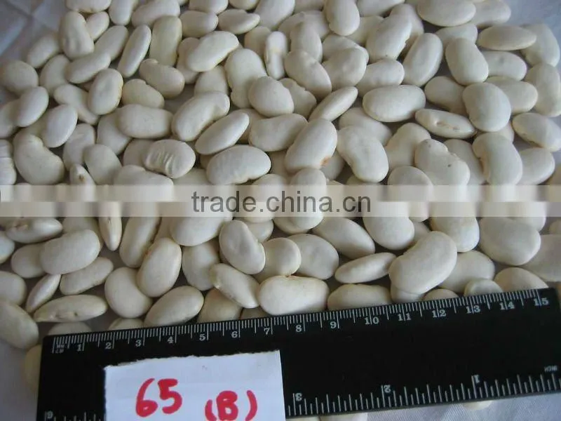 Chinese white kidney beans 180-360pcs/100g