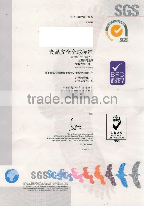 hot selling africa halal food red color natural tomato paste