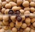 Good Performance fruits and vegetables vacuum drying machines (0086-13683717037)