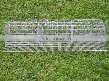 quail cage with automatic drinking system