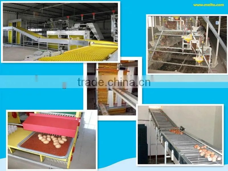 a type chicken cage chicken layer cage