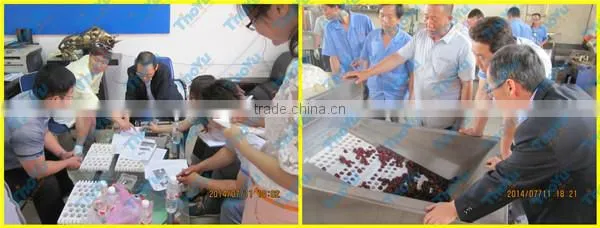 World Popular Most Professional Jujube Pitting Machine(SMS: 0086-15903675071)