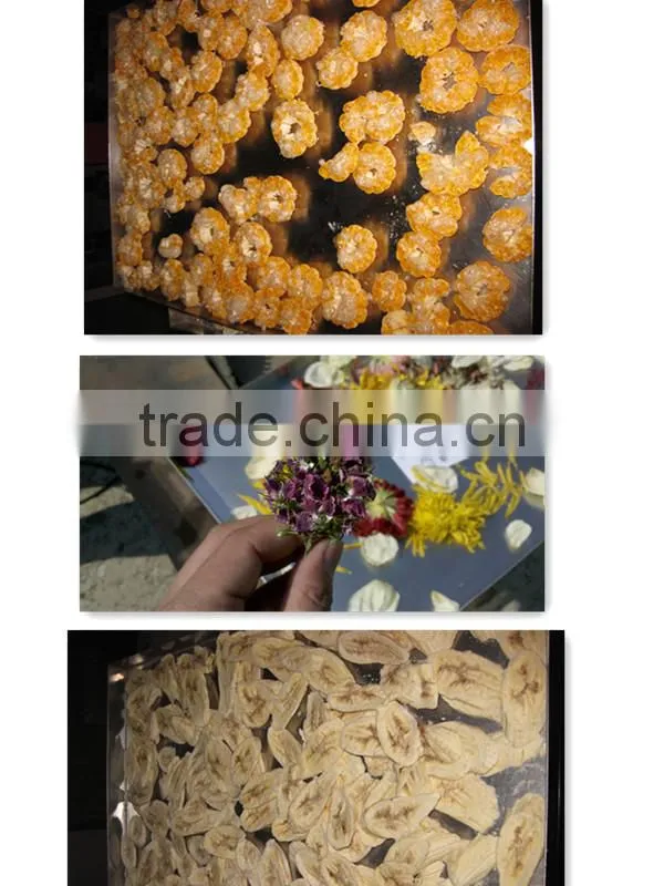 (KD) Small Ordinary Lab Vacuum Freeze Dryer