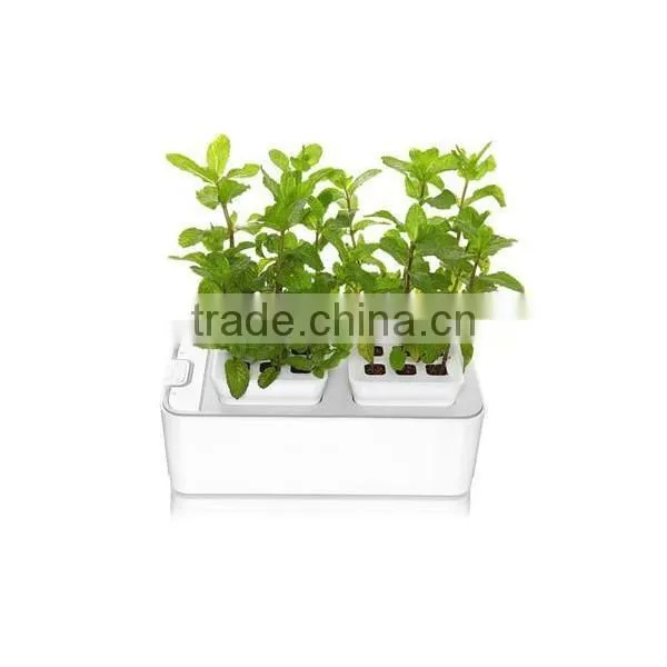 2014 newest office decoration mini smart garden