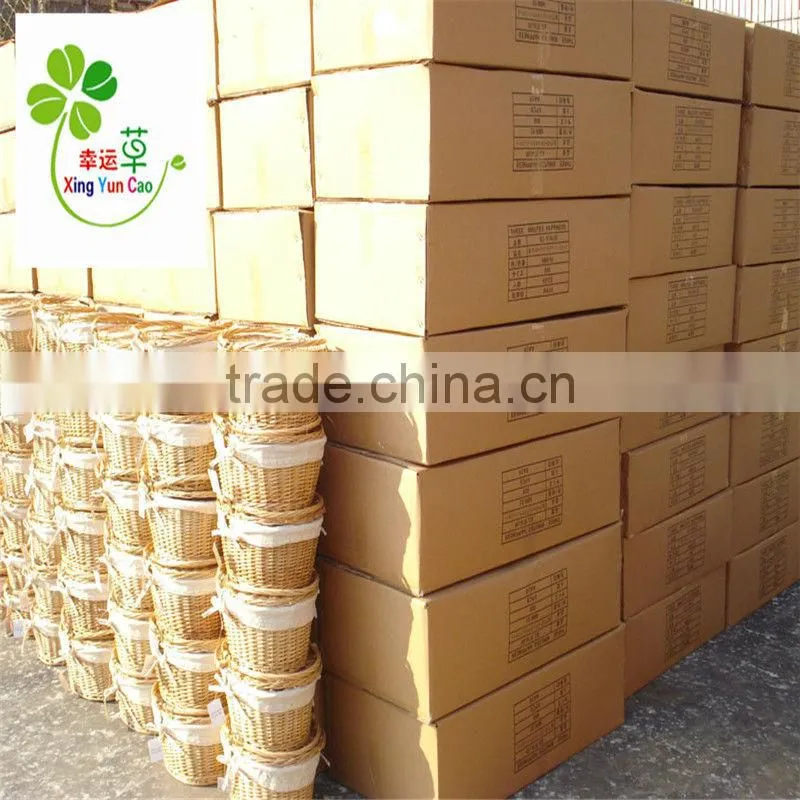 cheap wicker baskets with lid and lining