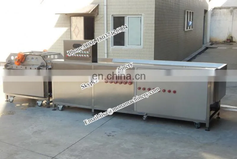 Electric vegetable and fruit washing machine for fresh fruits and vegetables