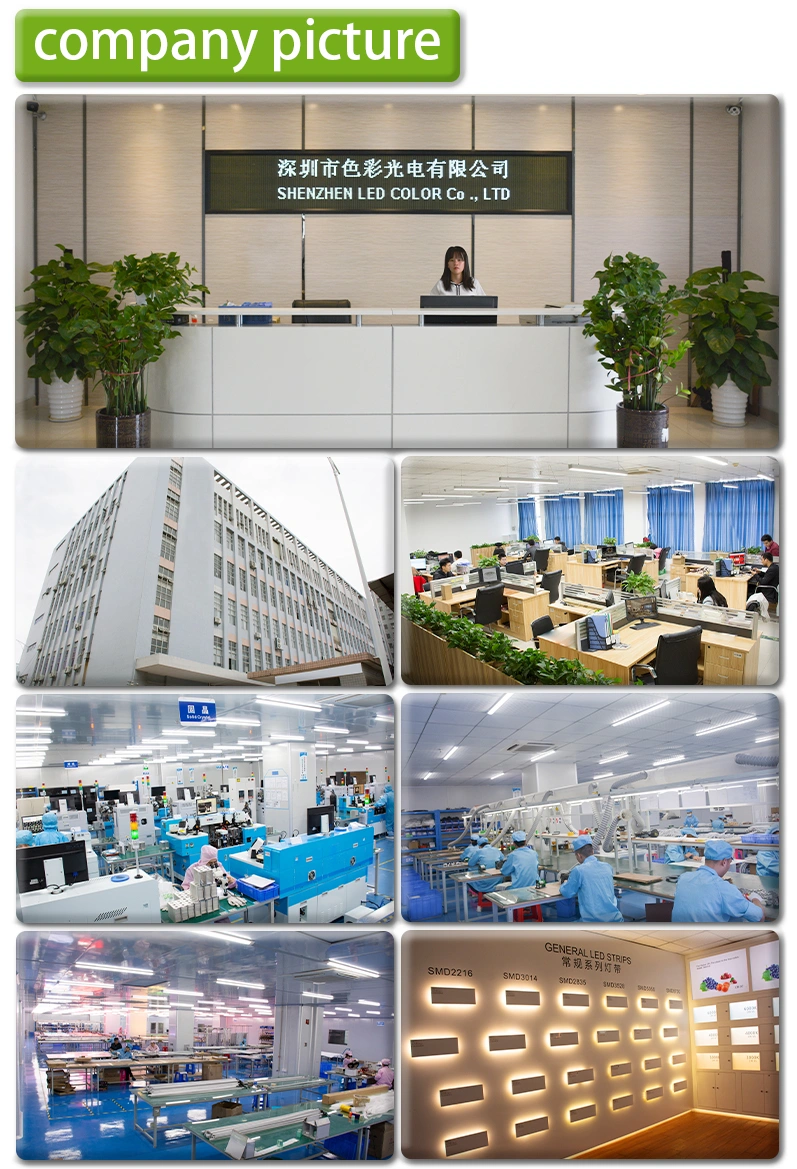 Shenzhen Led Color Co.,ltd company overview - view 1