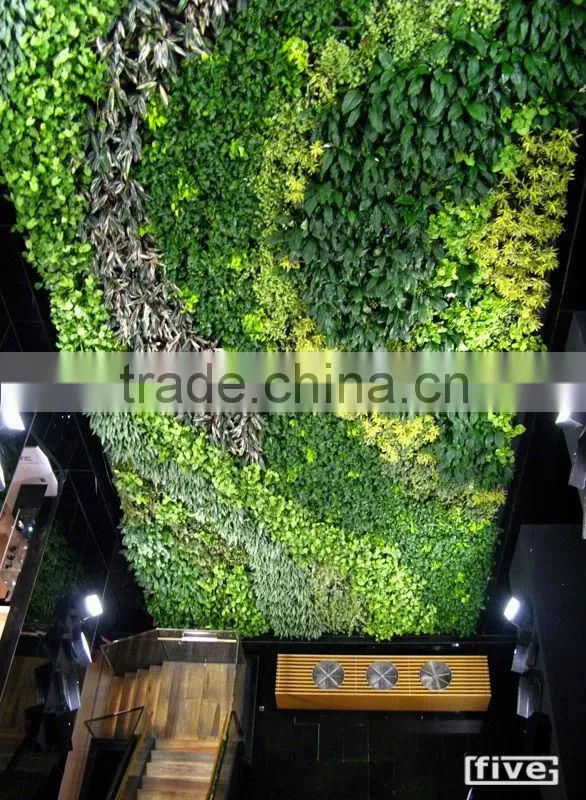 atificial plants