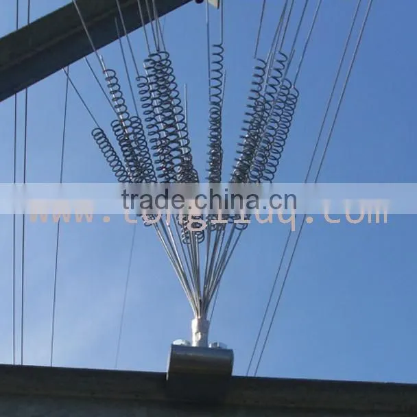 Bird Control Service Bird Spike