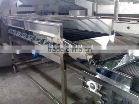 date palm / jujube processing equipment
