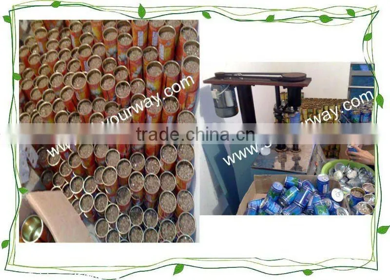 flower can,can flower,flower tin