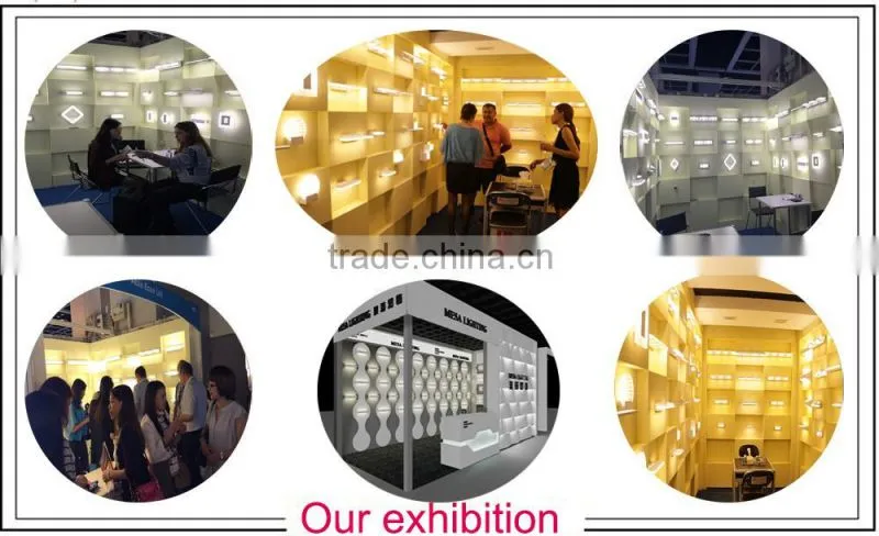 Elegant style popular led light fixture of ceiling