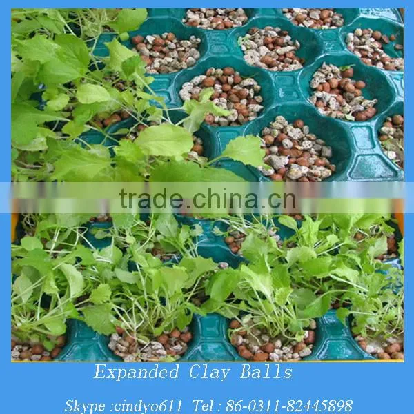 Agriculture plants soil Lightweight expanded clay aggregate