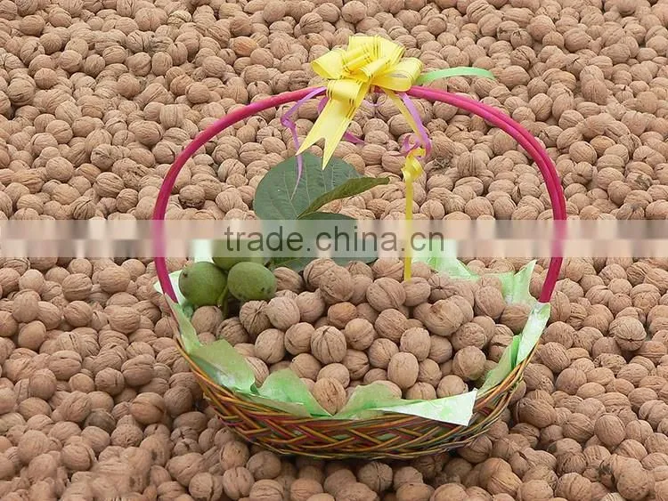 Chinese good quality Juglans regia for wholesale to many country