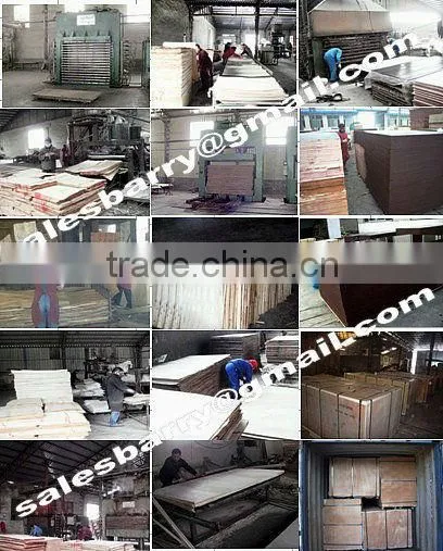 commercial plywood,film faced plywood