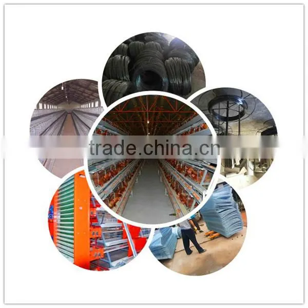 galvanized material welded wire mesh cage for quail