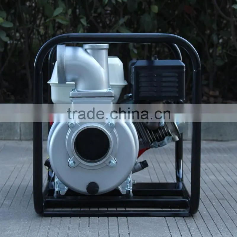 BISON(CHINA) BSWP40 Garden Tool Jet Pump Pressur Washer Pump
