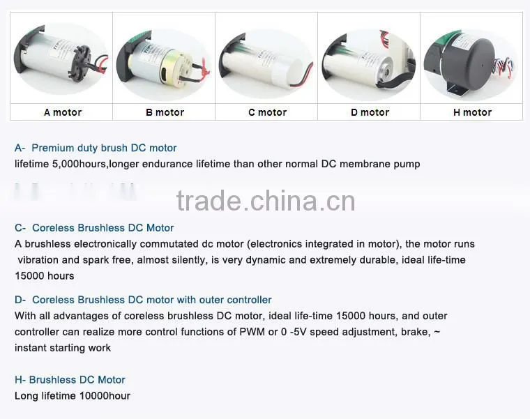 DC Brushless Diaphragm 6v 12v 24v RF Beauty device vacuum SIP and cold spray Pump