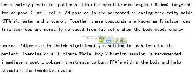 NO.1 2013-2017 10 paddles !!!popular 650nm laser, beauty equipoise ( Amazing Result at Fat loss!!!!!!!!!)
