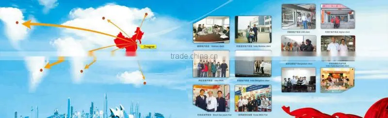 competive paving bricks machine price from China Dongyue machinery Group