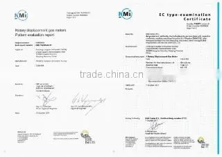 Zhejiang Cangnan Instrument Group Co., Ltd. company overview - view 2