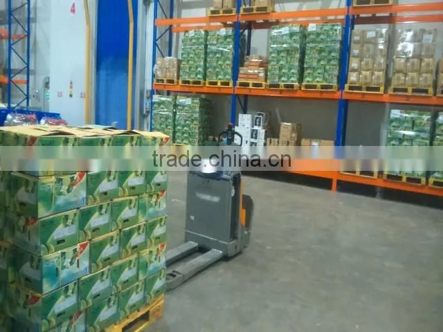 FRESH SEEDLESS LIME